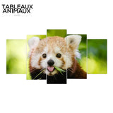 Tableau Panda Roux