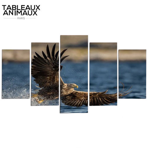 Tableau Aigle