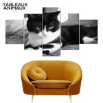 Impression Toile Chat <br> Grand Format