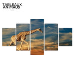 Tableau Girafe avec Cadre